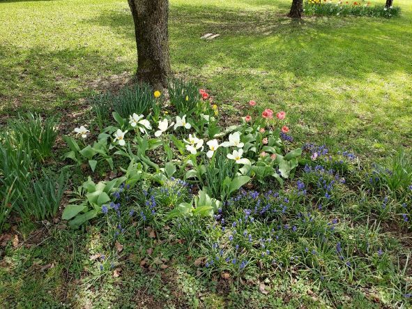 Spring 1