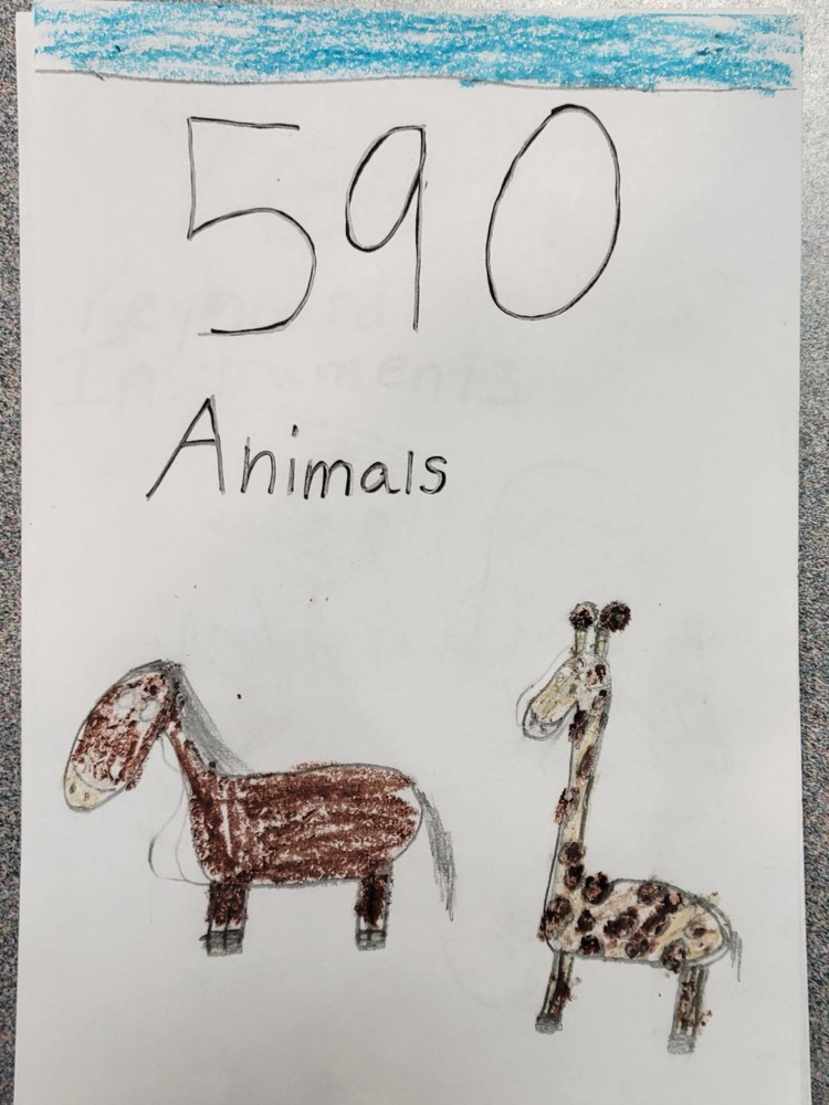 Dewey decimal drawings 