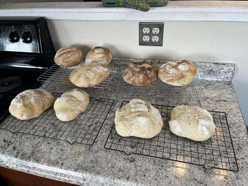Loafs of bread on cooling racks. 