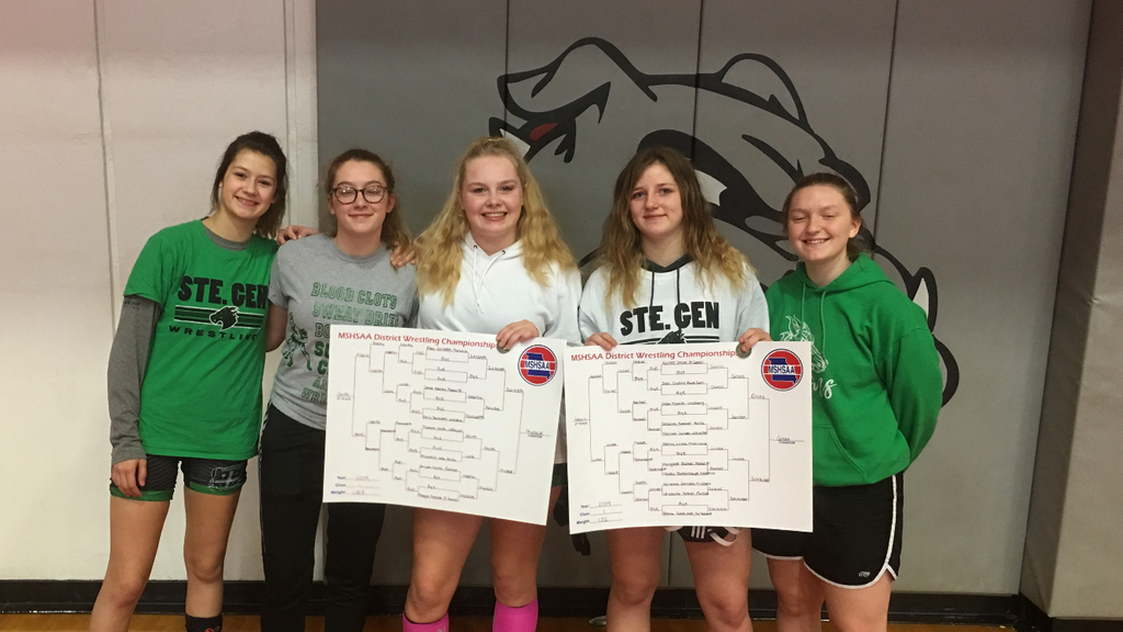 Girls third place district wrestling!!!
