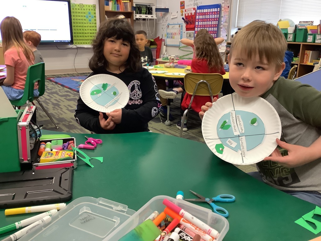 1st graders working on butterfly lifecycle project