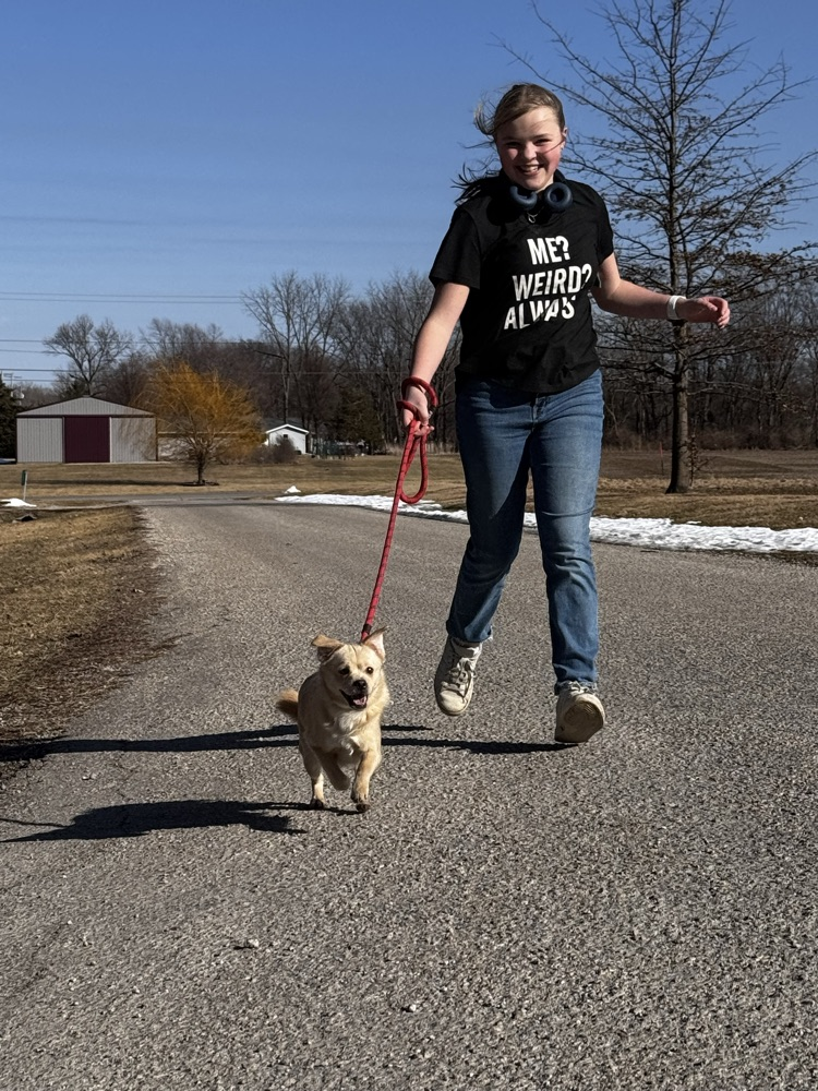 volunteering at the animal shelter 