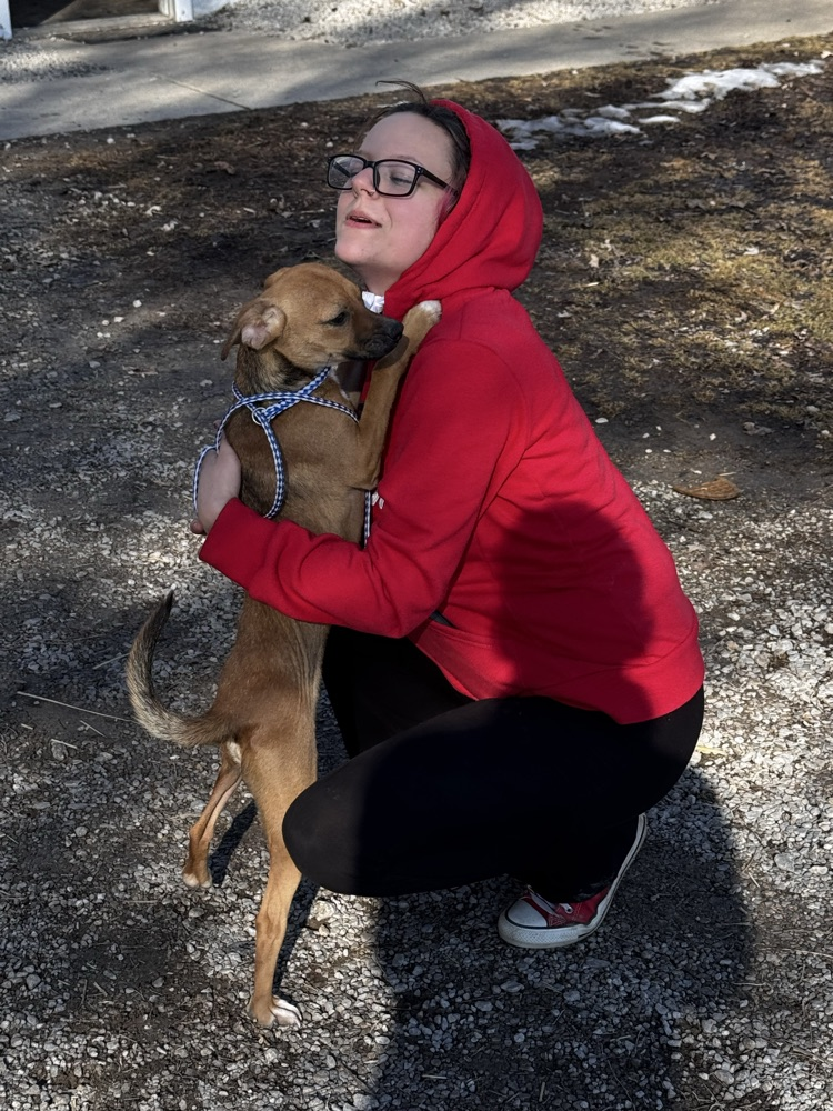 volunteering at the animal shelter 
