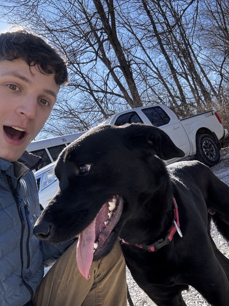 volunteering at the animal shelter 