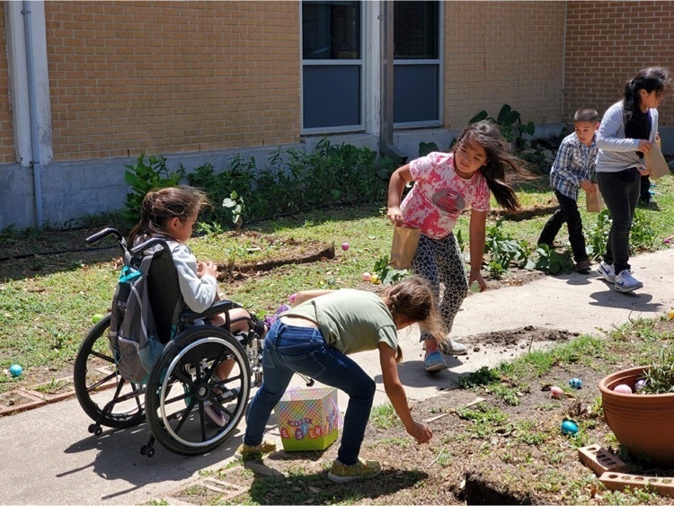 Egg Hunt