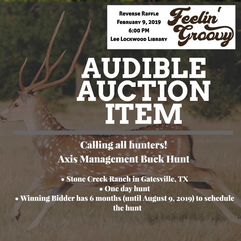 REF Reverse Raffle Audible Auction Hunt