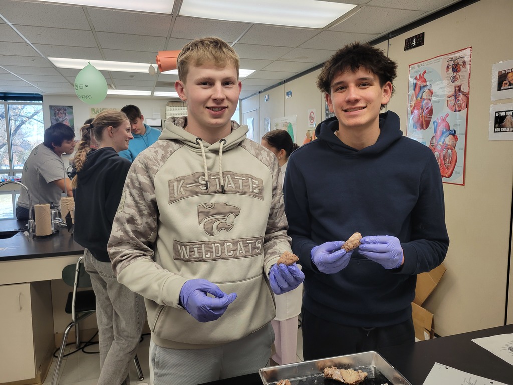 This group also shows off their dissected brain. 