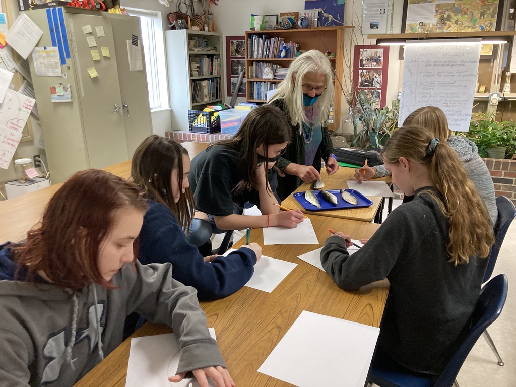 8th graders studying alewives