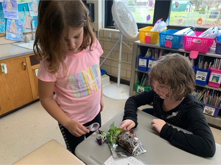 students with plants