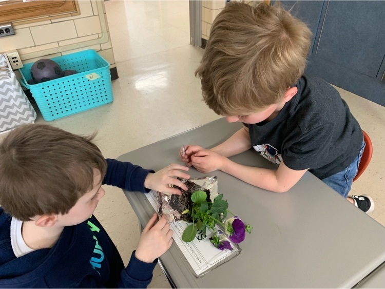 students with plants