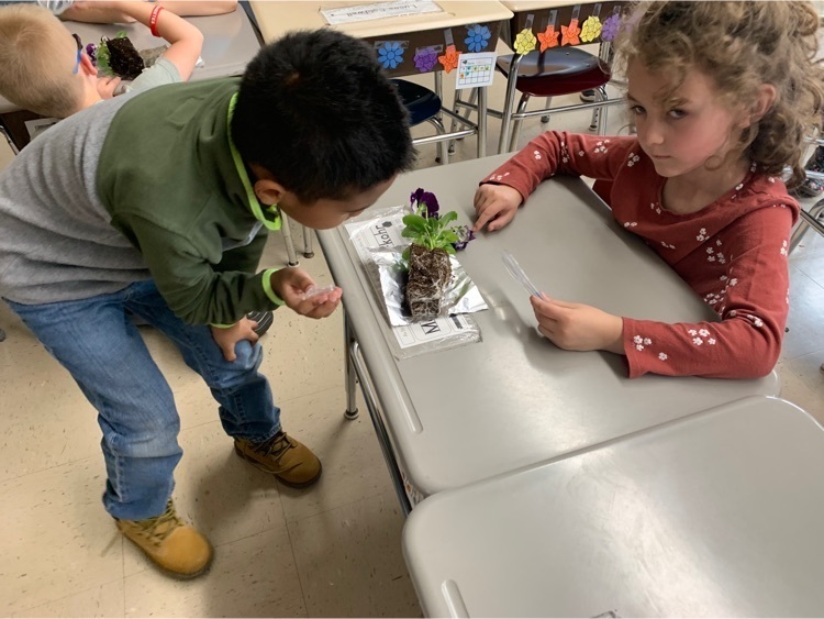 students with plants