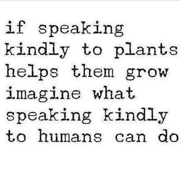 kind