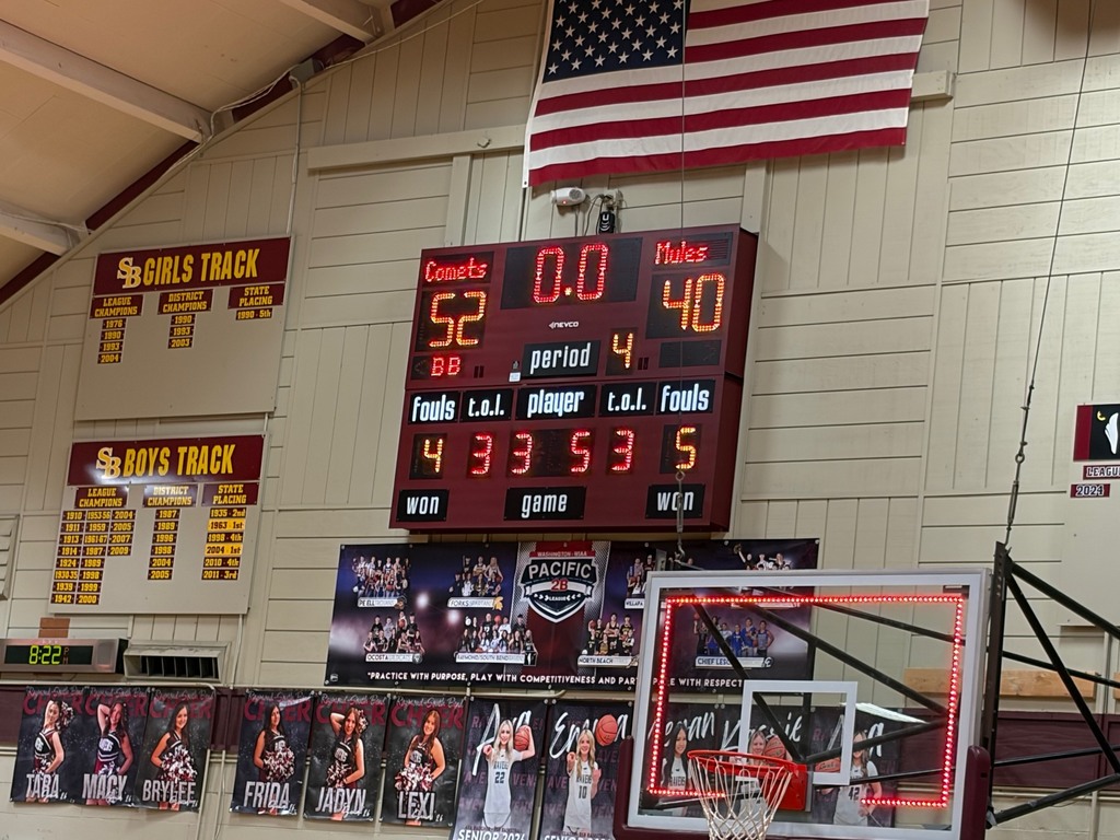 Lady Comets On To State