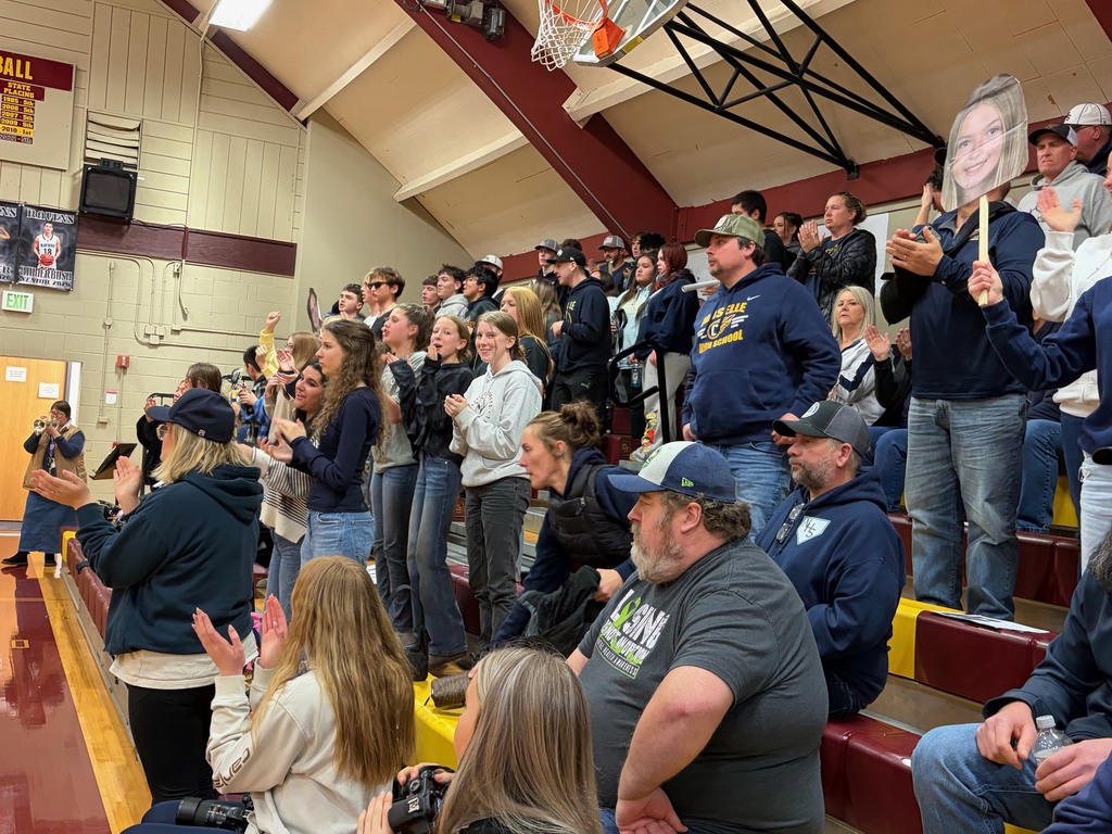 Lady Comets On To State