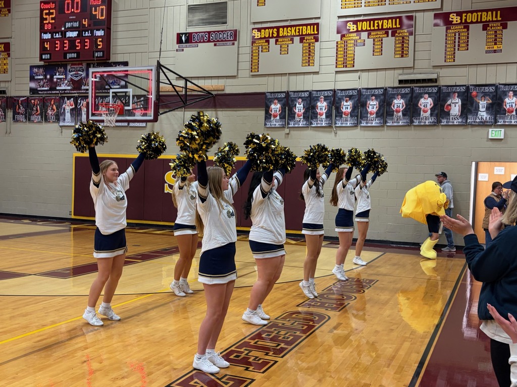 Lady Comets On To State