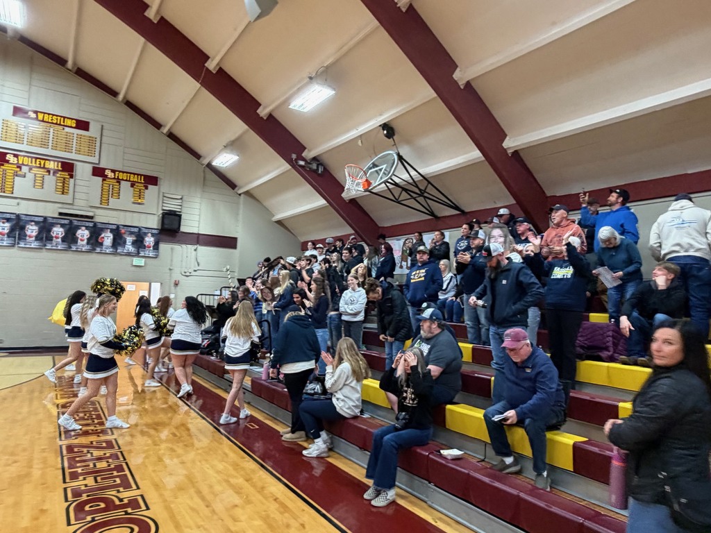 Lady Comets On To State