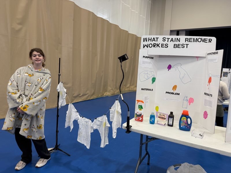 Harlow stain remover