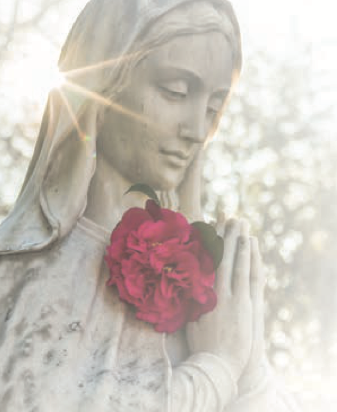 The Memorare Army