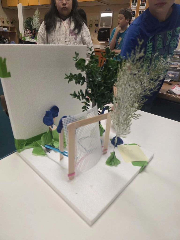 A windbreaker kit finished.