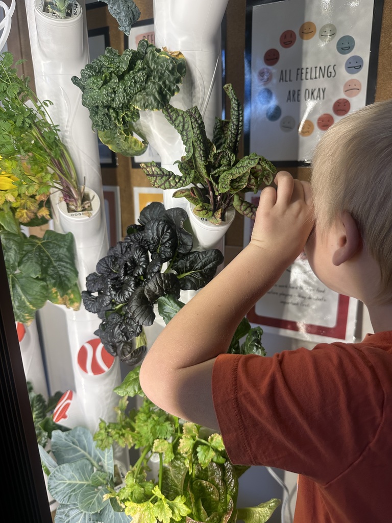 children with plants they are growing