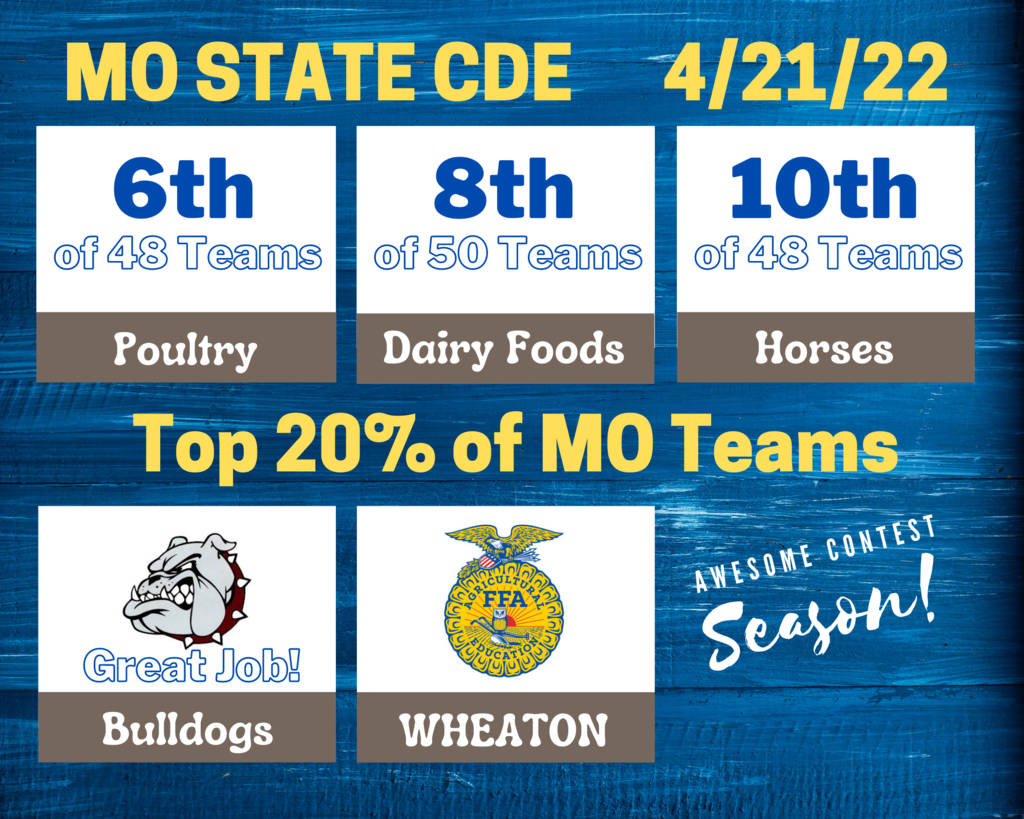 FFA State