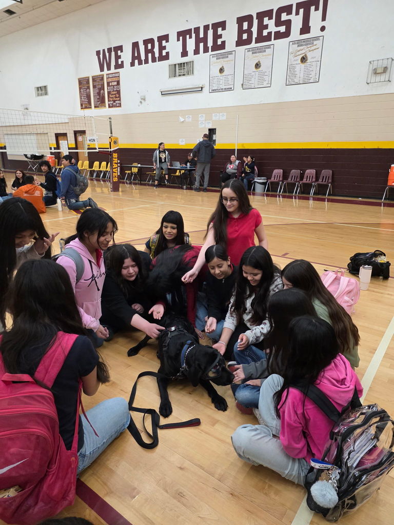 Students with therapy dog 7