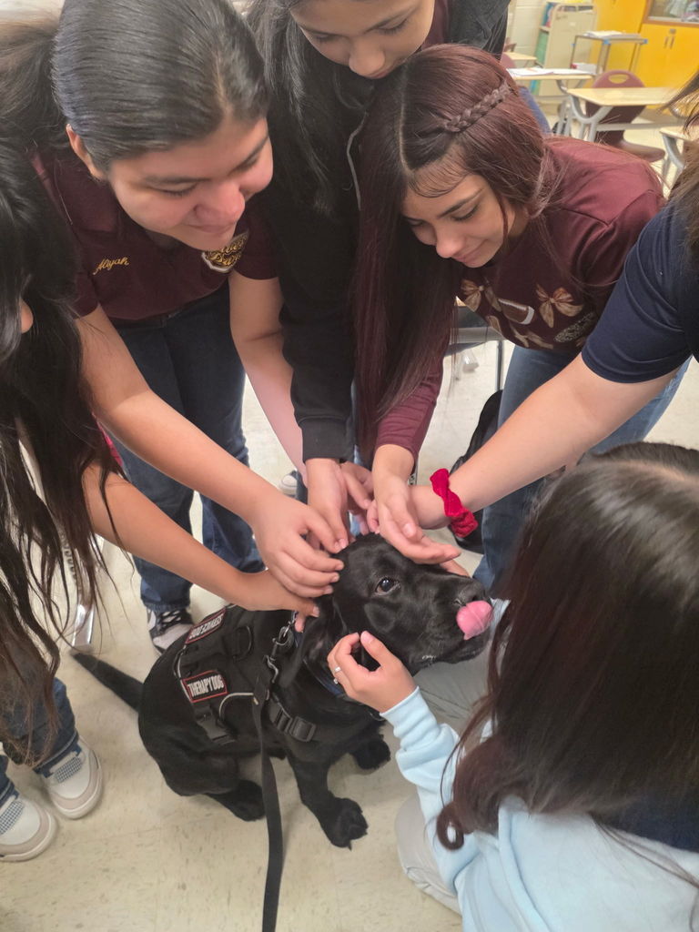 Students with therapy dog 4