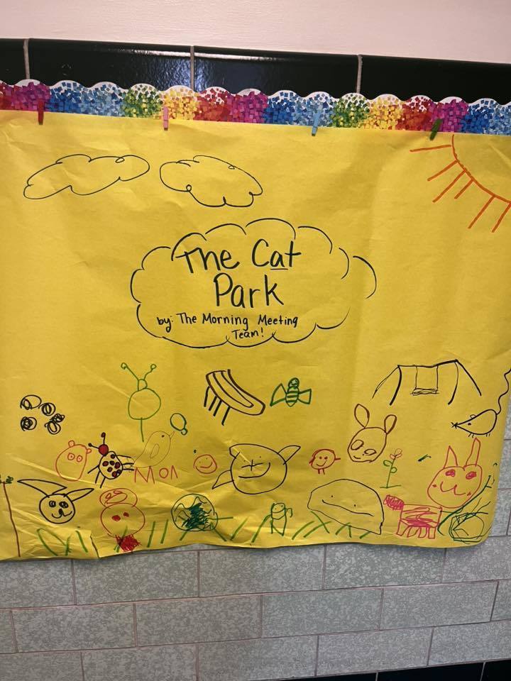 The Cat Park paper that students drew on. 