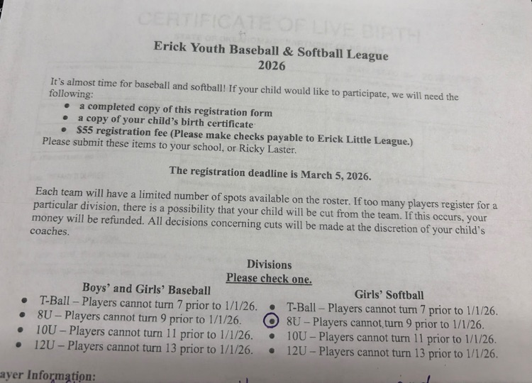 youth baseball/softball