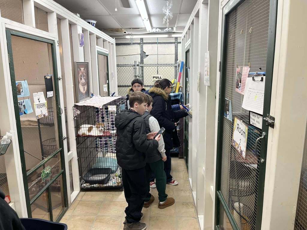 Kids looking at animals.