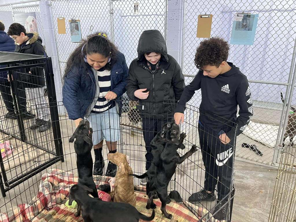 Kids playing with puppies.