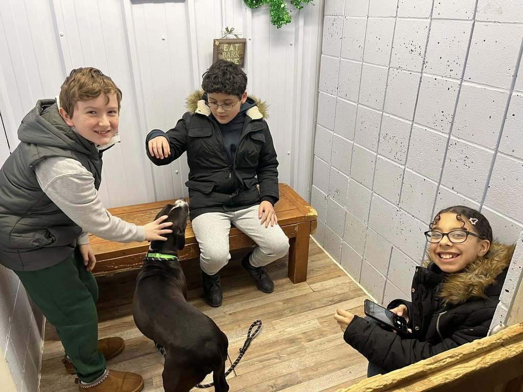 Kids playing with a dog.