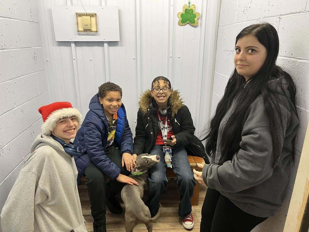 Kids playing with a dog.