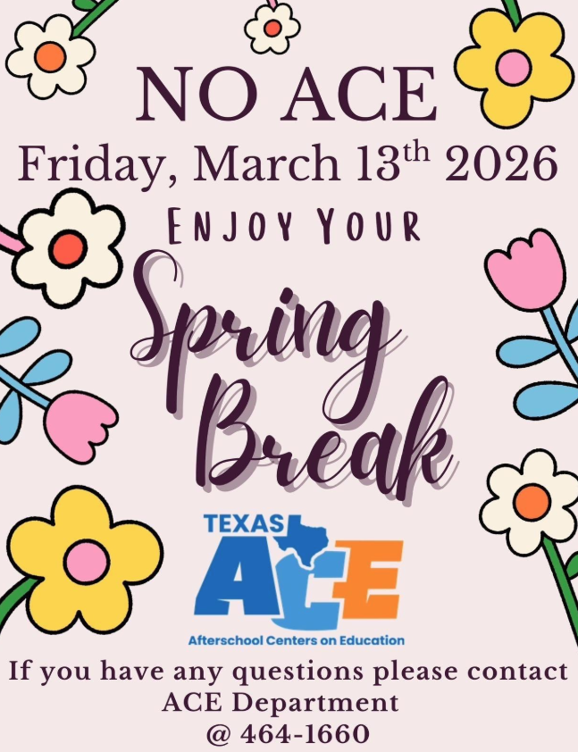 No ACE Flyer