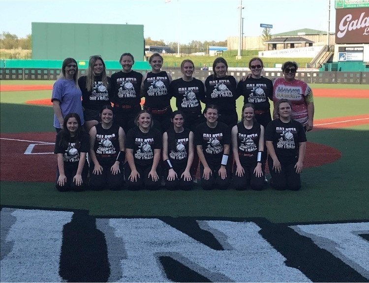 lady cats
