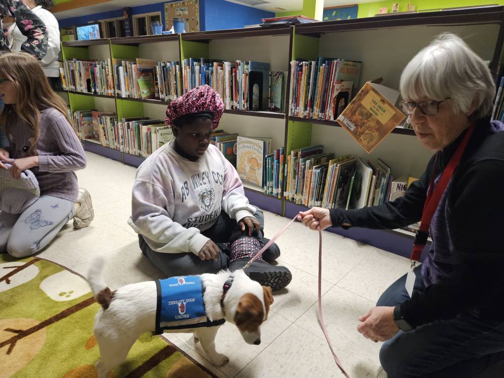 A kid looking at a therapy dog. 