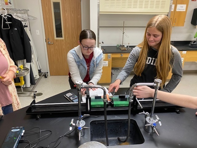 Conservation of Momentum Lab