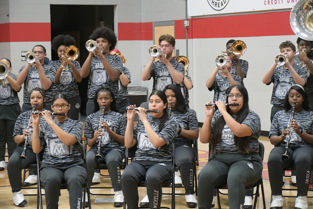 wide show of the M3 band performing