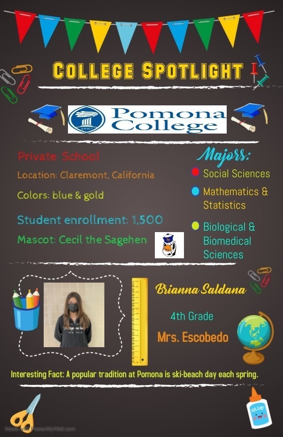 college spotlight
