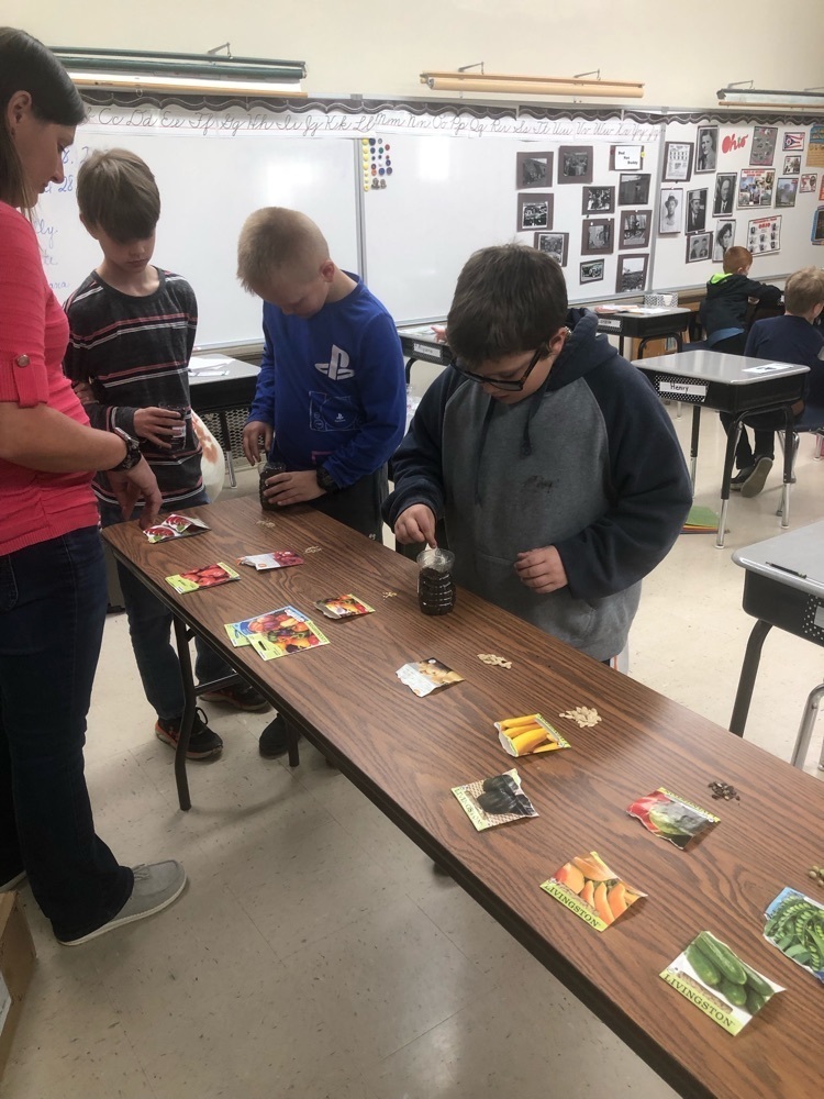 students planting seeds