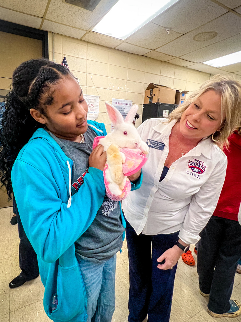 PCMS' Agriculture classroom welcomes three new rabbits!