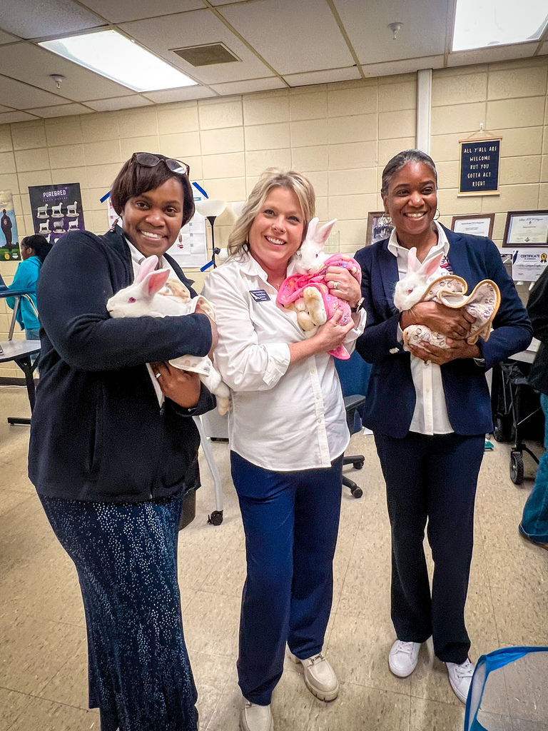PCMS' Agriculture classroom welcomes three new rabbits!