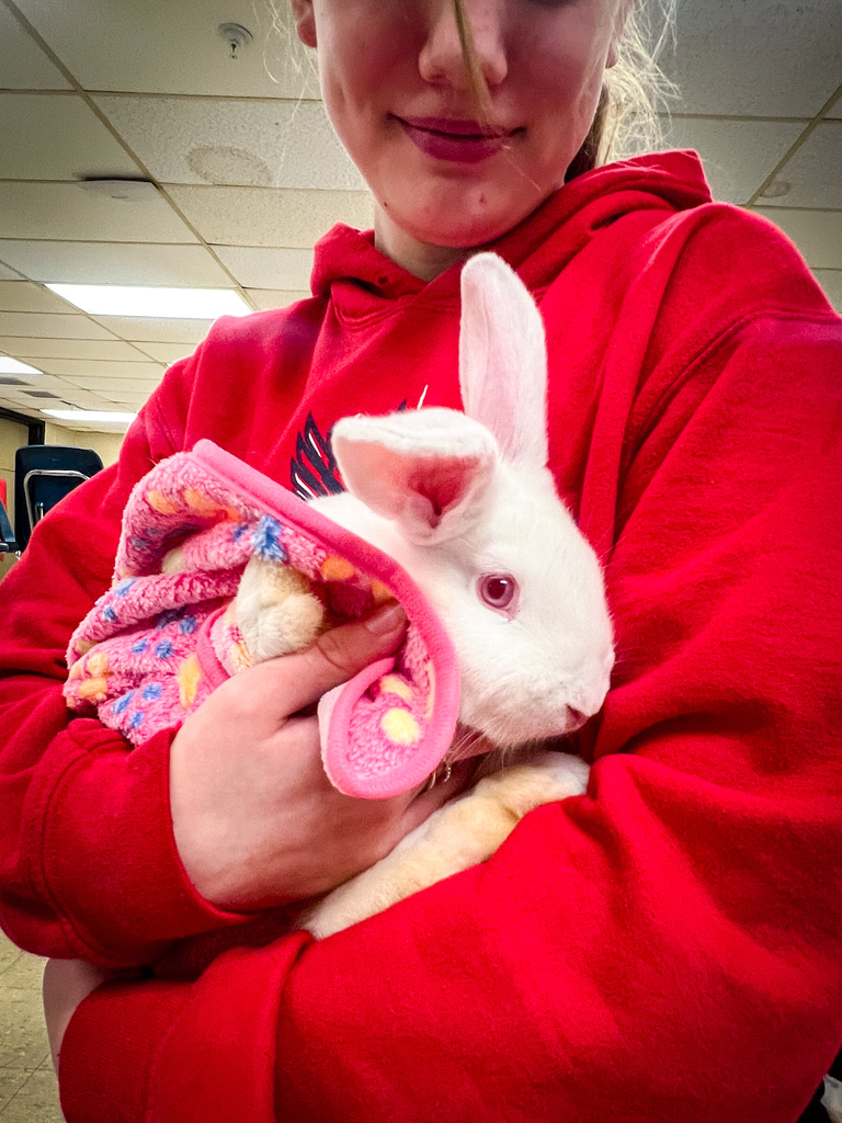 New Bunnies in AG Class