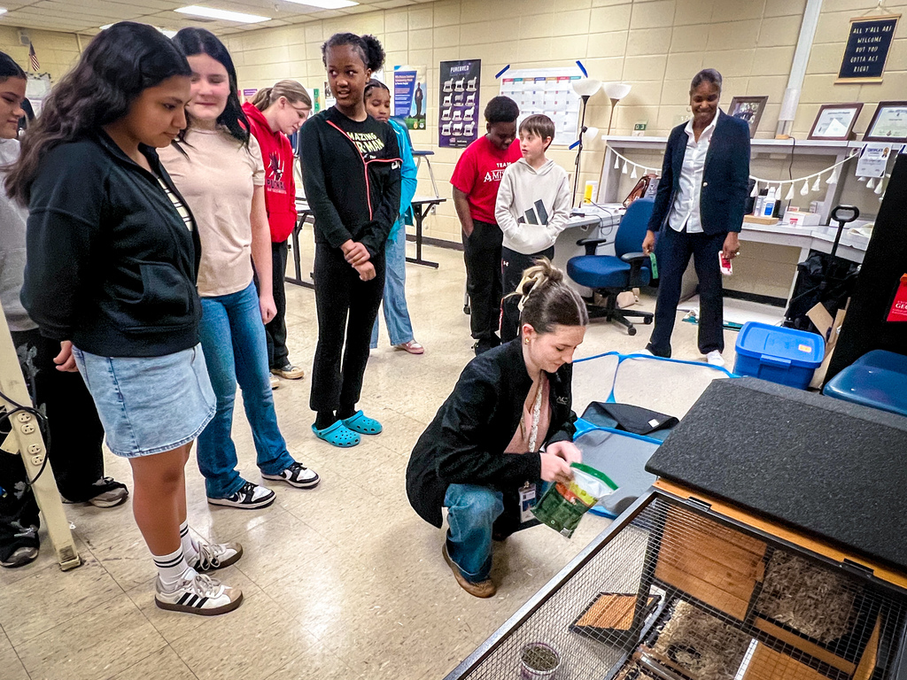 New Bunnies in AG Class