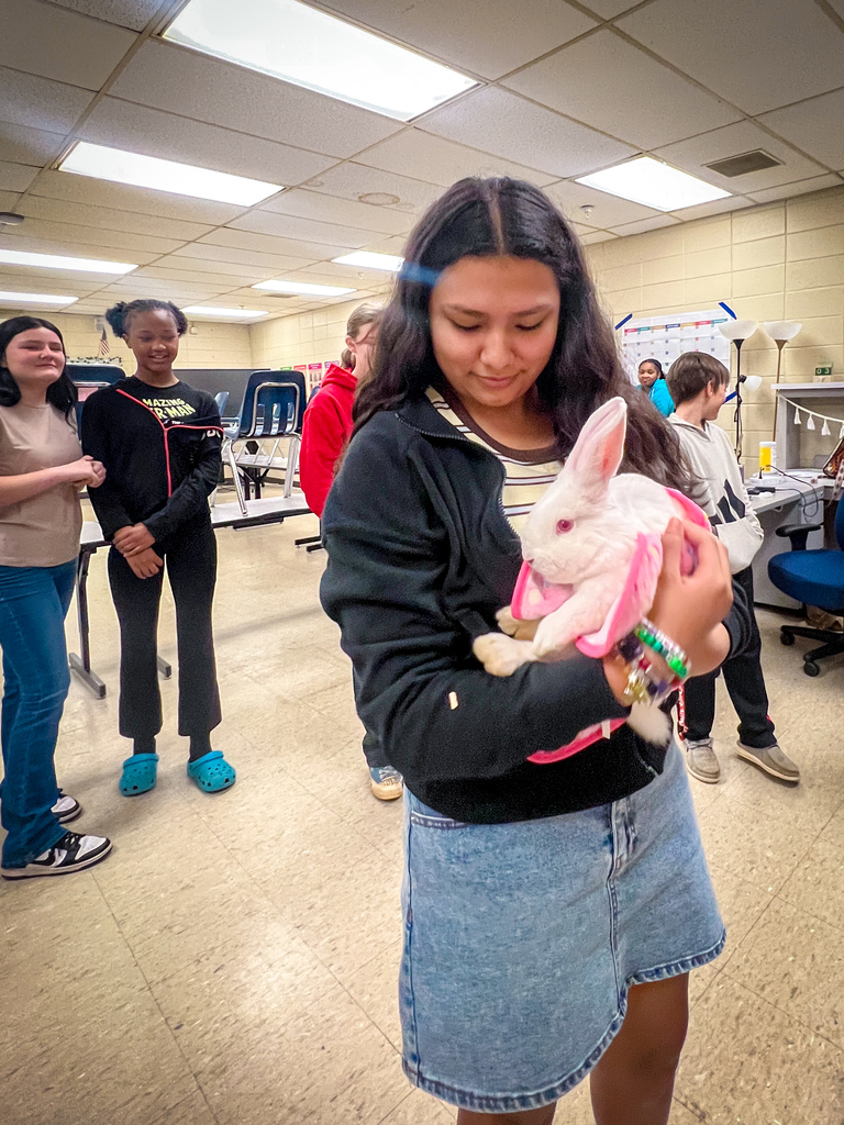 New Bunnies in AG Class