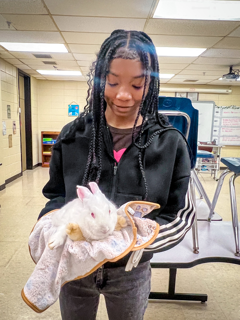 New Bunnies in AG Class