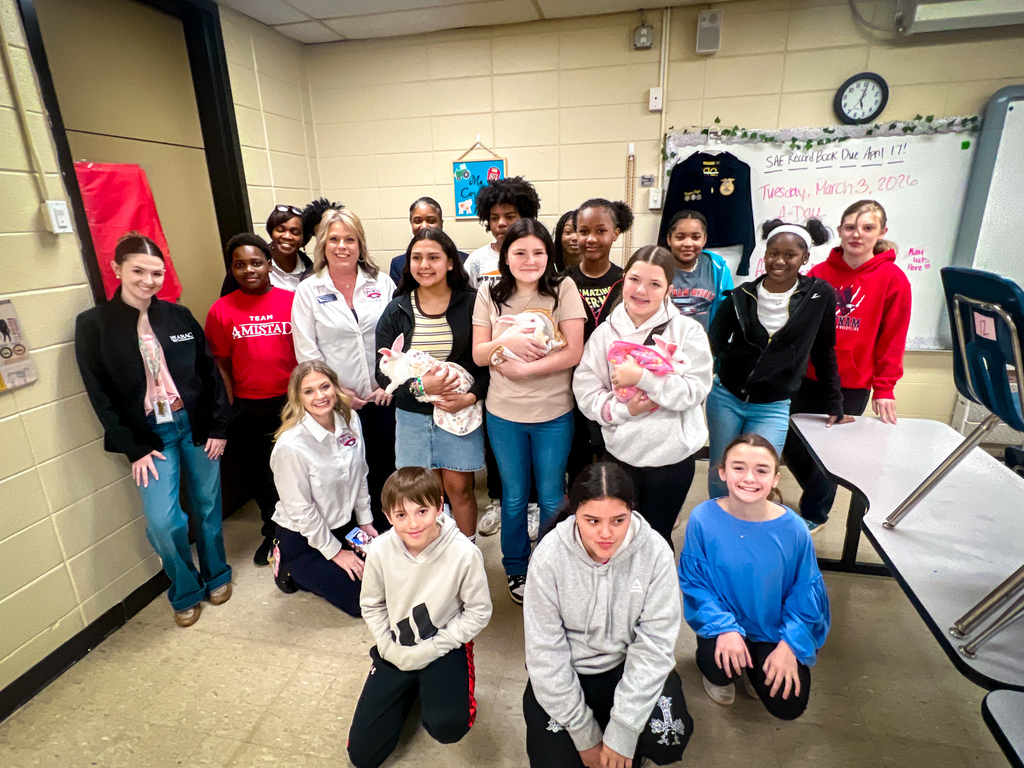 New Bunnies in AG Class