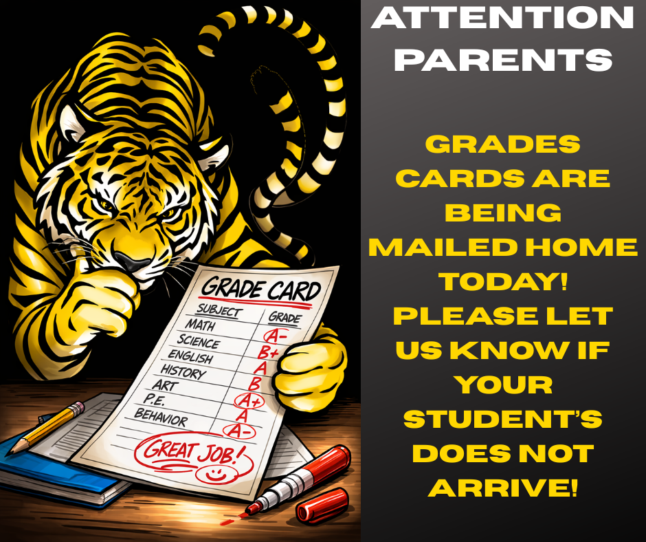 Grade Cards