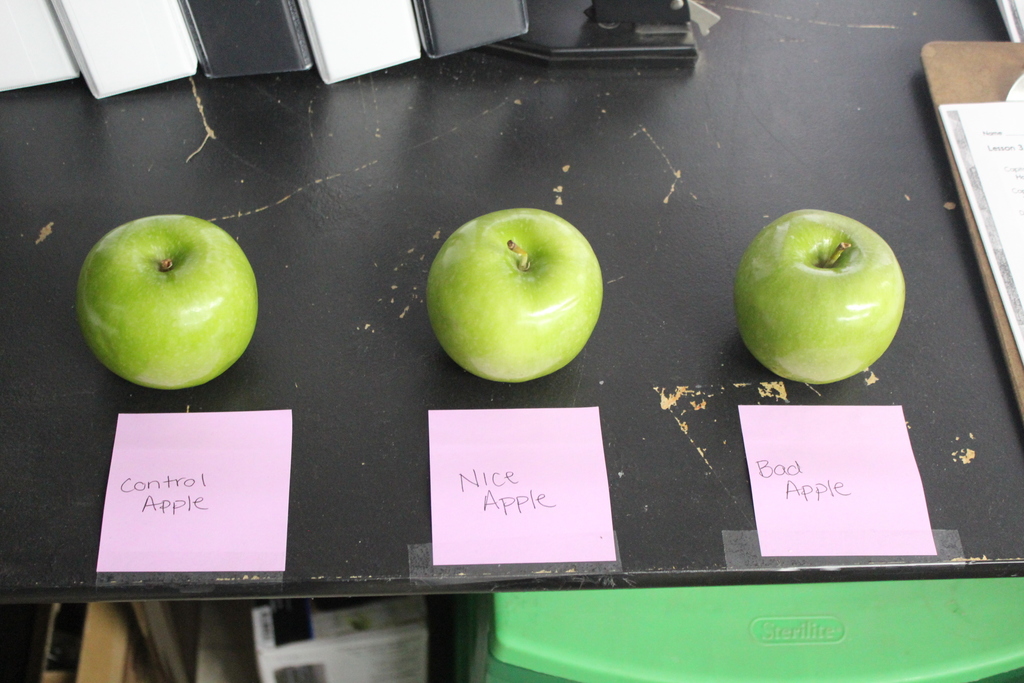 apple experiment