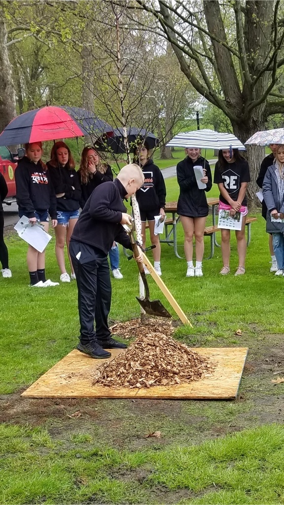 students planting tree